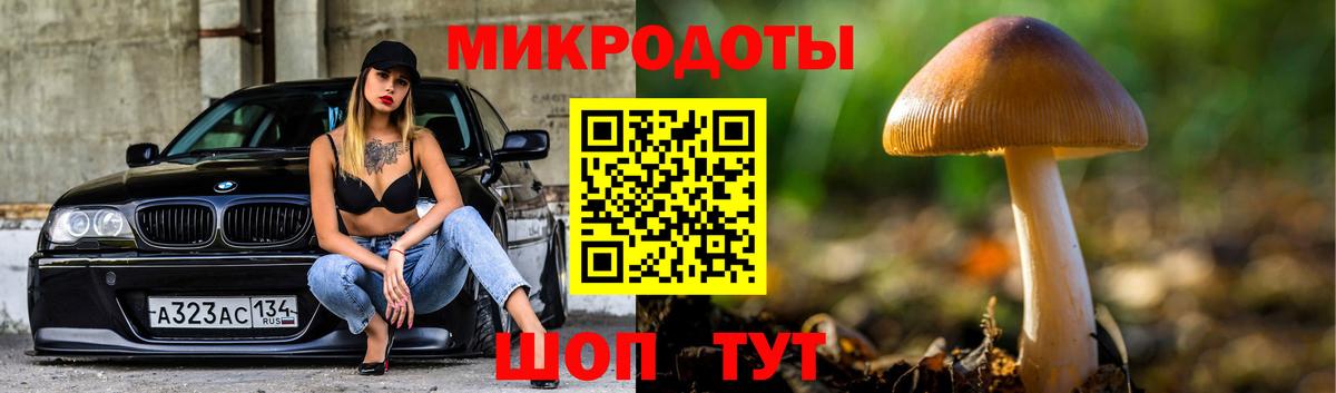 Псилоцибиновые грибы MAGIC MUSHROOMS  Галлюциногенные грибы MAGIC MUSHROOMS  Саки  Вход с VPN 